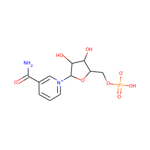 nicotinamide ribonucleotide